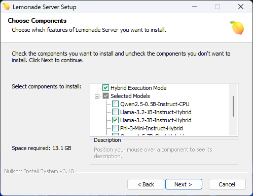 AMD Lemonade Server install interface, including the option to download models optimized for use with NPU+GPU operations.