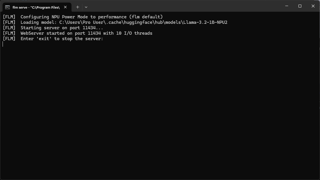 FastFlowLM server log interface.