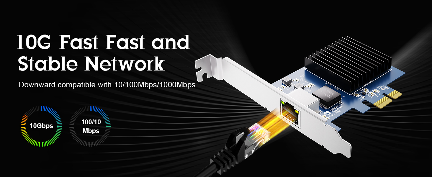 BZIZU RTL8127 10 Gigabit Ethernet Adapter (credit BZIZU)